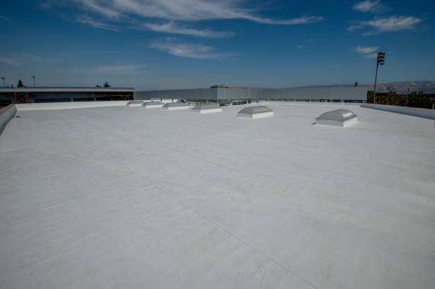 Best Roof Maintenance and Cleaning  in Neah Bay, WA
