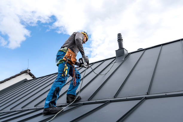 Best Solar Panel Roofing Installation  in Neah Bay, WA